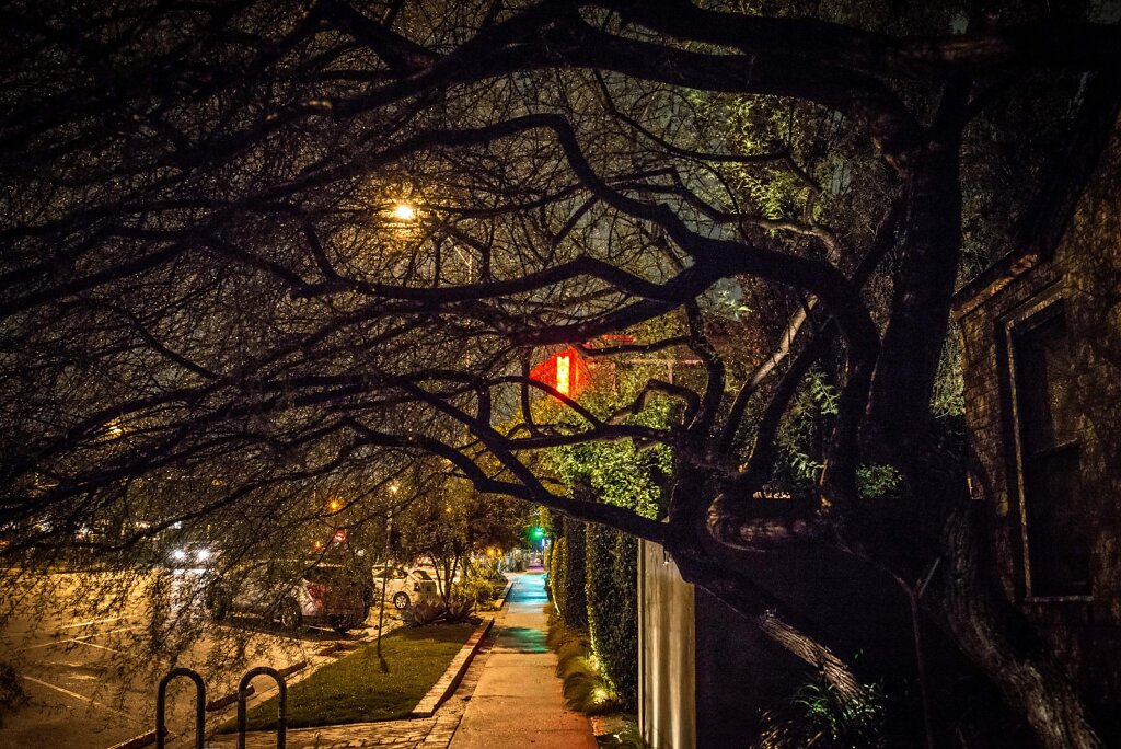 The Sidewalk, South Congress Ave.